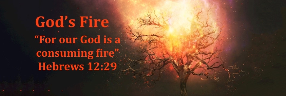 An image of a burning bush and the verse Hebrews 12:29