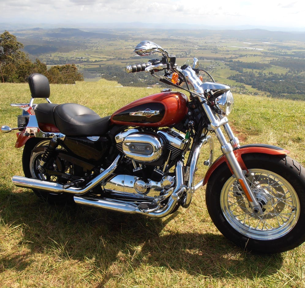 A Harley Davidson Sportster 1200cc Custom. One of my past motorcycles.